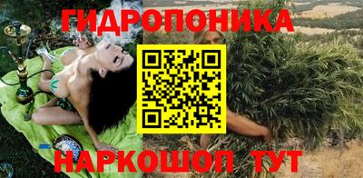 стафф Заводоуковск