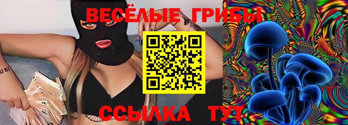 Псилоцибиновые грибы мухоморы  Вход с VPN  купить закладку  Балтийск 