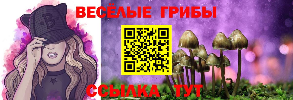 Псилоцибиновые грибы Magic Shrooms Балтийск